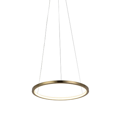 Подвесной Светильник Ring 10014S фото 5