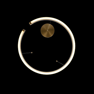 Подвесной Светильник Ring 10013S фото 6