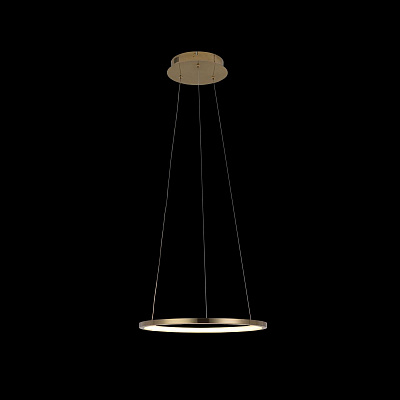 Подвесной Светильник Ring 10014S фото 4