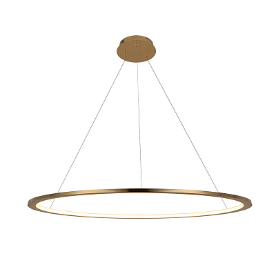 Подвесной Светильник Ring 10014L фото 3