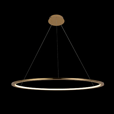 Подвесной Светильник Ring 10014L фото 4