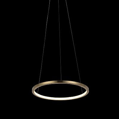Подвесной Светильник Ring 10014S фото 6