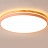 Цветные плоские светодиодные светильники в эко стиле DISC DH 48 см  Белый фото 13