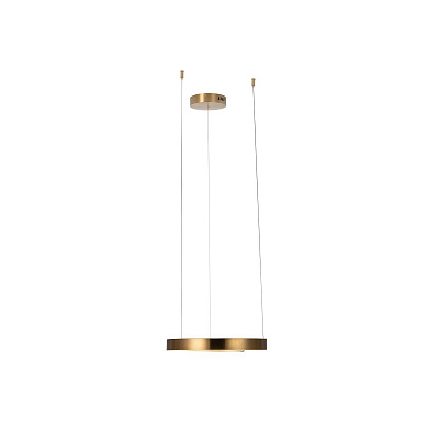 Подвесной Светильник Ring 10013S фото 3