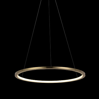 Подвесной Светильник Ring 10014M фото 6